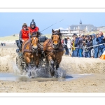 Marathon d'attelages à Berck-sur-mer