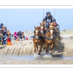Marathon d'attelages à Berck-sur-mer