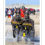 Marathon d'attelages à Berck-sur-mer