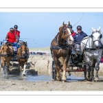 Marathon d'attelages à Berck-sur-mer