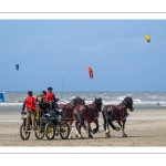 Marathon d'attelages à Berck-sur-mer