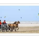 Marathon d'attelages à Berck-sur-mer