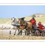 Marathon d'attelages à Berck-sur-mer
