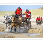 Marathon d'attelages à Berck-sur-mer