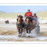 Marathon d'attelages à Berck-sur-mer