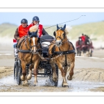 Marathon d'attelages à Berck-sur-mer