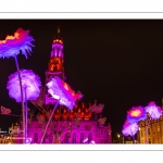 Arras, la Place des Héros illuminée pour Noël