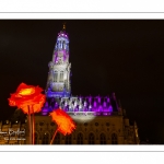 Arras, la Place des Héros illuminée pour Noël