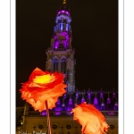 Arras, la Place des Héros illuminée pour Noël