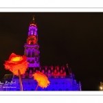 Arras, la Place des Héros illuminée pour Noël