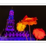 Arras, la Place des Héros illuminée pour Noël