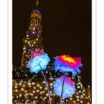 Arras, la Place des Héros illuminée pour Noël