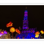 Arras, la Place des Héros illuminée pour Noël