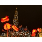 Arras, la Place des Héros illuminée pour Noël