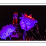 Arras, la Place des Héros illuminée pour Noël