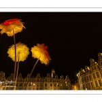 Arras, la Place des Héros illuminée pour Noël