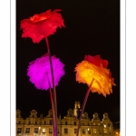 Arras, la Place des Héros illuminée pour Noël