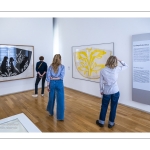 Le musée Henri Matisse du Cateau-Cambrésis