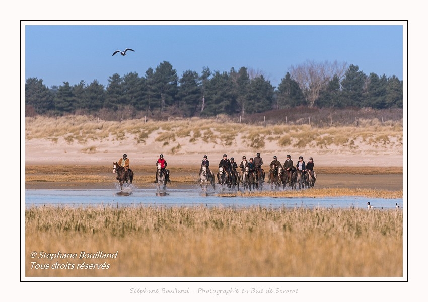 Cavaliers en baie de Somme - saison : Hiver - Lieu : Plages de la Maye, Réserve Naturelle, Baie de Somme, Somme, Picardie, Hauts-de-France, France.Riders in the Bay of Somme - season: Winter - Location: Beaches Maye, Nature Reserve, Somme Bay, Somme, Picardy, Hauts-de-France, France.