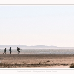 Un guide nature et ses client face au Hourdel en baie de Somme - saison : Hiver - Lieu : Plages de la Maye, Réserve Naturelle, Baie de Somme, Somme, Picardie, Hauts-de-France, France. 183/5000A nature guide and its customers facing Hourdel in the Bay of Somme - season: Winter - Location: Maye Beaches, Nature Reserve, Somme Bay, Somme, Picardy, Hauts-de-France, France.