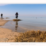 Guide nature qui emmène ses clients voir les phoques en baie de Somme -saison : Hiver - Lieu : Plages de la Maye, Réserve Naturelle, Baie de Somme, Somme, Picardie, Hauts-de-France, France. Nature guide that takes its customers to see the seals in the Bay of Somme -season: Winter - Location: Maye Beaches, Nature Reserve, Somme Bay, Somme, Picardie, Hauts-de-France, France.