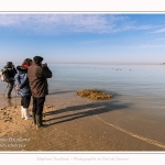 Guide nature qui emmène ses clients voir les phoques en baie de Somme -saison : Hiver - Lieu : Plages de la Maye, Réserve Naturelle, Baie de Somme, Somme, Picardie, Hauts-de-France, France. Nature guide that takes its customers to see the seals in the Bay of Somme -season: Winter - Location: Maye Beaches, Nature Reserve, Somme Bay, Somme, Picardie, Hauts-de-France, France.