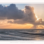 Tadornes de belon au crépuscule en baie de Somme - saison : Hiver - Lieu : Plages de la Maye, Réserve Naturelle, Baie de Somme, Somme, Picardie, Hauts-de-France, France.  Twilight on common Shelduck in the Bay of Somme - season: Winter - Location: Beaches Maye, Nature Reserve, Somme Bay, Somme, Picardy, Hauts-de-France, France.