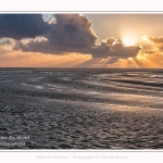 Tadornes de belon au crépuscule en baie de Somme - saison : Hiver - Lieu : Plages de la Maye, Réserve Naturelle, Baie de Somme, Somme, Picardie, Hauts-de-France, France.  Twilight on common Shelduck in the Bay of Somme - season: Winter - Location: Beaches Maye, Nature Reserve, Somme Bay, Somme, Picardy, Hauts-de-France, France.