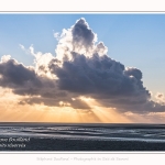 Tadornes de belon au crépuscule en baie de Somme - saison : Hiver - Lieu : Plages de la Maye, Réserve Naturelle, Baie de Somme, Somme, Picardie, Hauts-de-France, France.  Twilight on common Shelduck in the Bay of Somme - season: Winter - Location: Beaches Maye, Nature Reserve, Somme Bay, Somme, Picardy, Hauts-de-France, France.