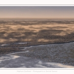 Tempête de sable en baie de Somme - saison : Hiver - Lieu : Plages de la Maye, Réserve Naturelle, Baie de Somme, Somme, Picardie, Hauts-de-France, France. Sandstorm in the Bay of Somme - season: Winter - Location: Beaches Maye, Nature Reserve, Somme Bay, Somme, Picardy, Hauts-de-France, France.