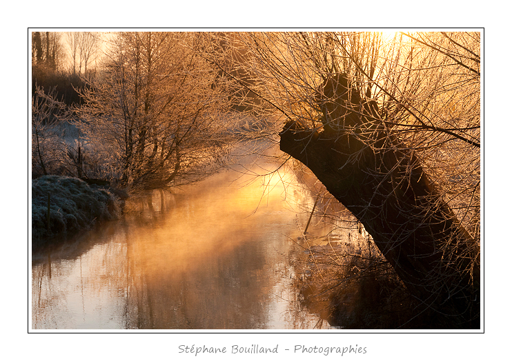 Un matin d'hiver dans les patures couvertes de givre, le long de la Maye. Saison : Hiver - Lieu : Machy, VallÃ©e de la Maye, Somme, Picardie, France
