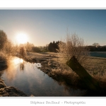 Un matin d'hiver dans les patures couvertes de givre, le long de la Maye. Saison : Hiver - Lieu : Machy, VallÃ©e de la Maye, Somme, Picardie, France