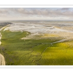 La plage du Crotoy à marée basse