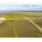 Les plages de la Maye en Baie de Somme