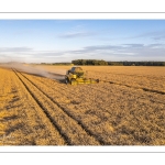 La moisson
