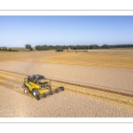 La moisson