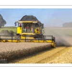 La moisson