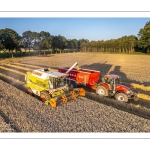 La moisson