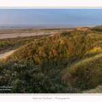 La_Molliere_d_aval_11_10_2015_007-border