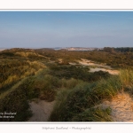 La_Molliere_d_aval_11_10_2015_008-border