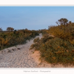 La_Molliere_d_aval_11_10_2015_012-border