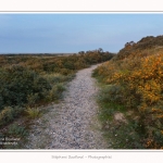 La_Molliere_d_aval_11_10_2015_013-border