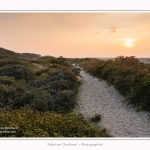 La_Molliere_d_aval_11_10_2015_015-border