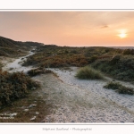 La_Molliere_d_aval_11_10_2015_016-border