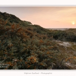 La_Molliere_d_aval_11_10_2015_018-border
