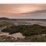 La_Molliere_d_aval_11_10_2015_019-border