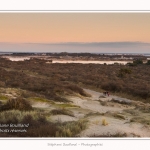 Molliere_d_aval_04_01_2015_020-border.jpg