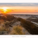 Molliere_d_aval_04_01_2015_024-border.jpg