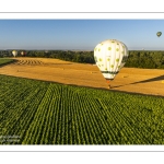 Montgolfiades des prés salés