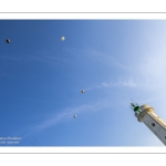 Montgolfiades des prés salés